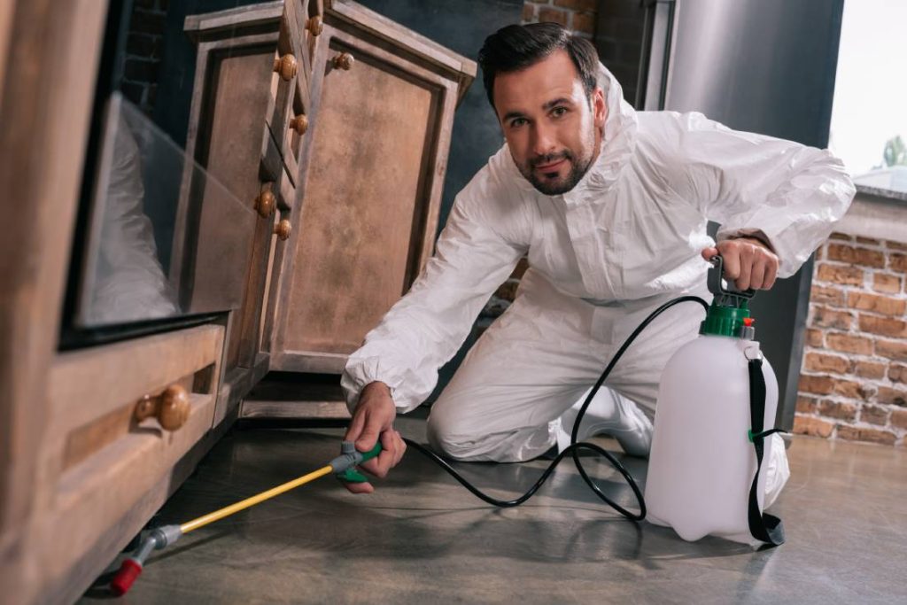 How to Choose the Right Pest Control Service for Your Home