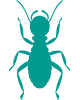Termite Control Icon